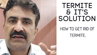 How to solve Termite Problem  Anti Termite Treatment  दीमक से कैसे छुटकारा पाए। [upl. by Ylrebma]