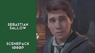 Sebastian Sallow from Hogwarts Legacy 1080p Scenepack  sallowsvfx scenepacks [upl. by Schreibman]