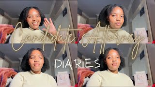 CANDIDATE ATTORNEY DIARIES  Consultations amp Client Etiquette law storytime lawstudentvlog vlog [upl. by Wertheimer]