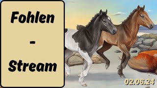 135 Horse Reality Livestream  Die LiveFohlenshow 🥰😋 [upl. by Ani]