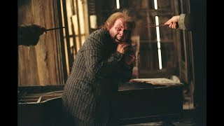 Peter Pettigrew Reveald [upl. by Tamis213]