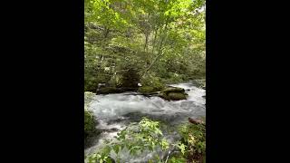 Walking along Oirasekeiryū gorge Aomori Japan Sept 2024 [upl. by Lalaj]