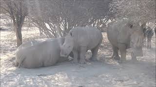 Omaruru Game Lodge [upl. by Berthe]