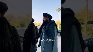 Mullah Yaqoob Mujahid attitude Status taliban short viralshorts [upl. by Leahcimnoj950]