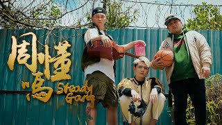 SteadyGang【周懂嗎】Official MV  用ChatGPT AI写一首歌给周杰伦 [upl. by Aliekat187]