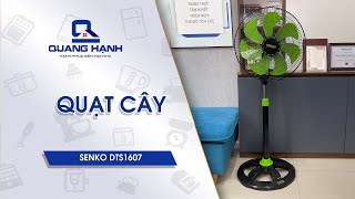 Đánh giá chi tiết Quạt đứng Senko DTS1607 [upl. by Zilla]