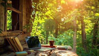 Peaceful Workspace in the midle of the Forest at a logcabin Ambience [upl. by Neeven]