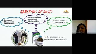 IDOCARB12  Solución inyectable para el tratamiento y prevención de anaplasmosis y piroplasmosis [upl. by Aiyram39]