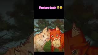 Firestar and sandstorm best coupl☺️ [upl. by Cindee]