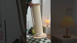 The Natural Fiber Behind Cat Scratching Posts sisal [upl. by Acinnor905]