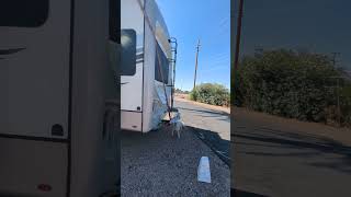 2022 Keystone Montana 3231CK 37 Fifth Wheel [upl. by Llenyaj461]