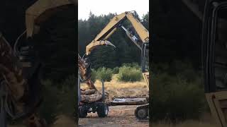 Sawing Madrone sawmill woodmizersawmill lumber madrone unloading caterpillar shovel [upl. by Nalyac]