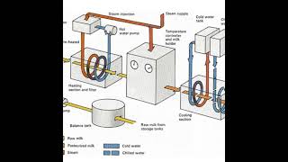 Pasteurisation  Technique to keep food safe amp last longer  Process of Pasteurization  its Science [upl. by Ayit795]