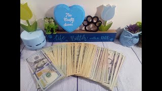 Unstuffing My 100 Envelope Challenge With A Twist money 100envelopechallenge [upl. by Noed534]