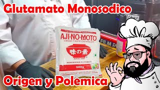 Glutamato Monosodico  AjiNoMoto  Origen de la Polemica [upl. by Gove]