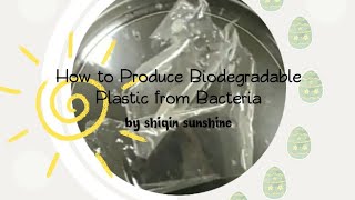 Bio Eco Friendly Plastic from Polyhydroxyalkanoates PHA [upl. by Aihsila]