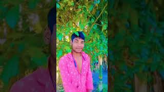 Sohrai Song 🤪 New SANTALI Sohrai 2024  2025 [upl. by Arbrab]