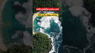 අශ්ව ලාඩමක හැඩය ගත් හිරිකැටිය Travel With NiroTravelwithnirotravelwithniro travelshorts [upl. by Ahsial]