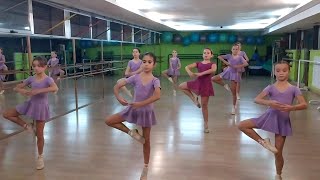 Clase de ballet Elemental II2022 [upl. by Ahsiekan]