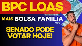 BPC LOAS mais BOLSA FAMILIA  próximo da REALIDADE [upl. by Mcallister]