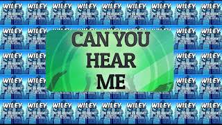 Wiley  Can You Hear Me [upl. by Blatman]