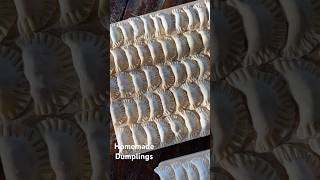 Homemade dumplings [upl. by Fachan594]