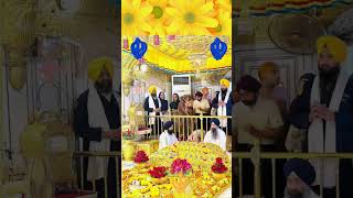 The Divine Experience of Live Kirtan at Darbar Sahib [upl. by Ahtnama143]