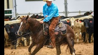 NCHA Cutting Horse For Sale Smooth As Houston 219 at Cotton Stakes [upl. by Ylrac413]