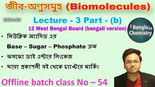 Biomolecules Class12WB L3b nucleotide nucleoside base sugar phosphate phosphodiester linkage [upl. by Ardnama629]