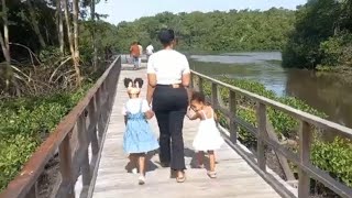 The Boardwalk  Caroni Bird Sanctuary  Triniyoutuber [upl. by Echikson736]