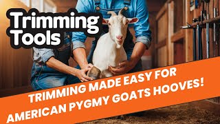 TRIMMING Made Easy for American Pygmy Goats Hooves [upl. by Bren]