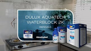 Dulux Aquatech Waterblock 2K Bengali [upl. by Hammond]