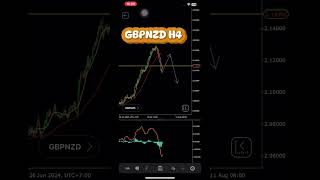 GBPNZD trading forex TFXRetailTrader [upl. by Isnam]