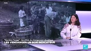 Les raisins de la colère  face au réchauffement climatique quel est lavenir de la viniculture [upl. by Turley]