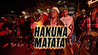 Hakuna Matata  Alien skin official Music video [upl. by Anerbas]