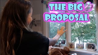 The Big Proposal 💍 WK 3405  Bratayley [upl. by Ellehcal]