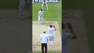 A True Batting Great 🏏  Shivnarine Chanderpaul With All The Shots shorts [upl. by Capps]