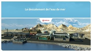 Le dessalement de leau de mer  Veolia [upl. by Zabrine166]