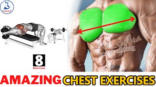 How to Grow your chest in 2 Weeks 8 effective exercises [upl. by Drobman]