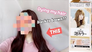 dying my hair at home ✨ Kao Liese Milk Tea Brown Color [upl. by Tolmann926]