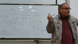 12 Relation between muscle lengthtension amp velocity of contraction Part II [upl. by Acira]