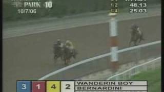 Bernardini  2006 Jockey Club Gold Cup [upl. by Eirene]