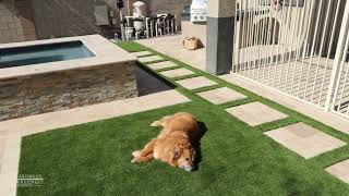 Turf and Travertine Around Swimming Pool [upl. by Mellisa]