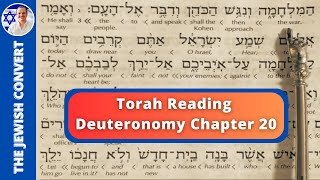 Deuteronomy Chapter 20  Torah Reading in Hebrew with English Translation  TORAH STUDY [upl. by Heda248]