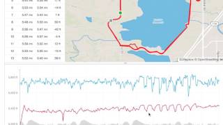 HOW TO USE STRAVA TO ANALYZE WORKOUTS TRAINING AND RACING  Sage Running [upl. by Nossaj778]