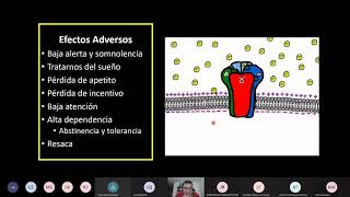 Introducción a los Ansiolíticos e hipnosedantes [upl. by Pedrotti]