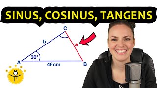 ALLES über Sinus Cosinus Tangens – Erklärung Trigonometrie Dreieck Winkel [upl. by Claudianus]