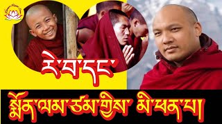 HH Karmapa’s speech about expectation amp prayer rumtekkarmaekhenpo karmapa rinpoche tibettv voa [upl. by Onig795]