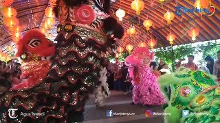 Pertunjukan Barongsai di Edupark Intan Pari Karanganyar [upl. by Notsuoh485]