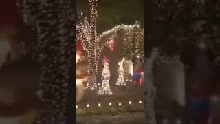 Best Christmas Lights Display 2021  Deerfield Christmas Lights 2021 shorts christmas Deerfield [upl. by Yurt]